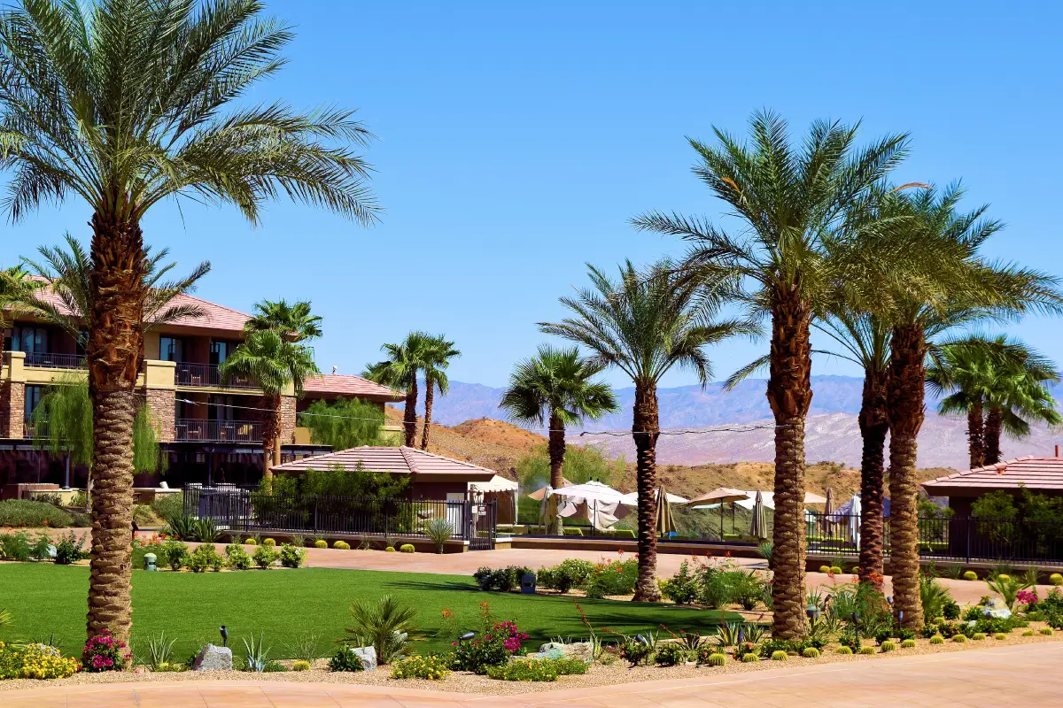 Creating a Vacation Rental Welcome Guide Guests Will Actually Use in Orlando